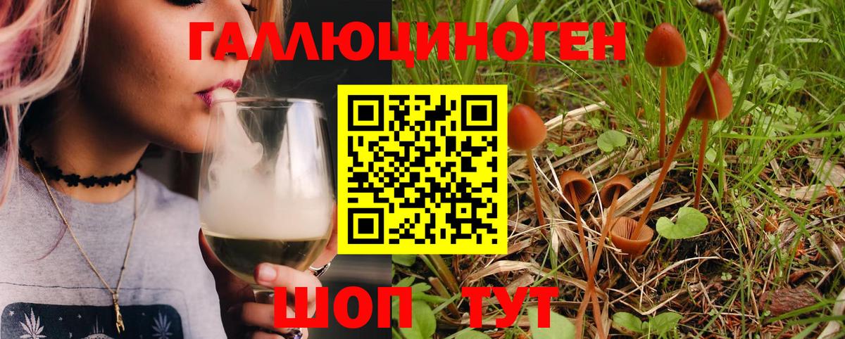 Псилоцибиновые грибы Psilocybe  Галлюциногенные грибы прущие грибы  Вход с VPN  Воскресенск 