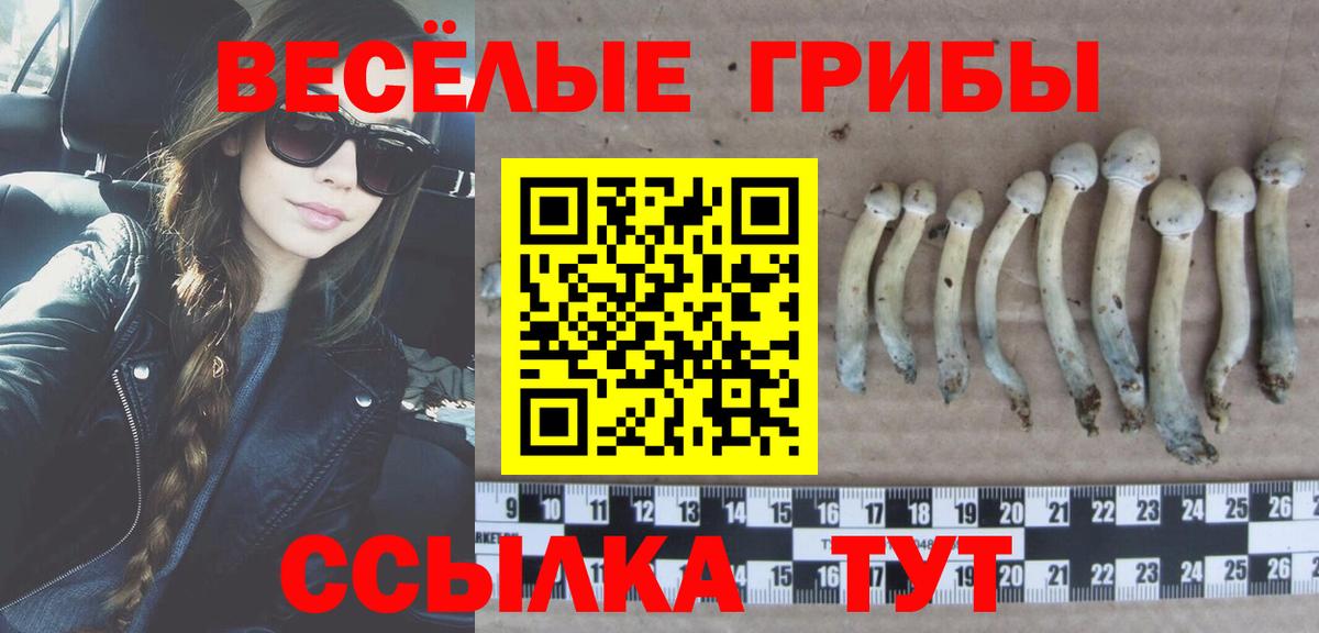Галлюциногенные грибы ЛСД Воскресенск